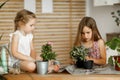 Little girls transplanting indoor flowers into pot