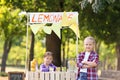 Little girls trying to sell lemonade in park on summer day