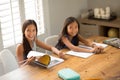 Young Girls Working On Their School Work