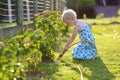 Little giving water to flowers in the garden