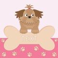 Little glamour tan Shih Tzu dog and big bone. Paw