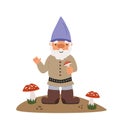 The little gnome collects a mushroom