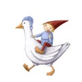 Little gnome riding a goose with lollipop, watercolor style illustration, fairytale clipart with cartoon character