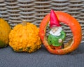 Little gnome and three pumpkins