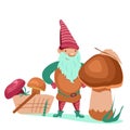 Little gnome with wild mushrooms