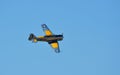 Vintage North American T-6 Harvard 4 ` Wacky Rabbit` Aircraft in Flight