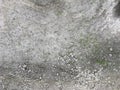 Little grass growing up on the surface of cracking concrete road Royalty Free Stock Photo