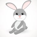 Little gray cute rabbit sits