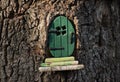 Little green fairy / pixie door in a tree trunk