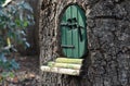 Little green fairy / pixie door in a tree trunk