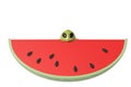 A little green monster with watermelon,3D illustration. Royalty Free Stock Photo