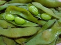 Little green nutrious from japan is edamame