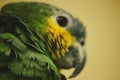 Little green parrot. Funny birds