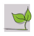 Little green plant Royalty Free Stock Photo