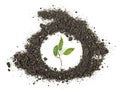 Little green plant and soil on white background, top view Royalty Free Stock Photo