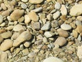 Little green snake crawling on rocks and basking Royalty Free Stock Photo