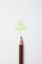 Little green treen by color pencil on paper Royalty Free Stock Photo