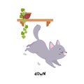 Little Grey Cat Jump Down from Shelf as English Language Preposition for Educational Activity Vector Illustration