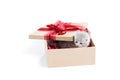 Little grey fluffy cute kitten sitting inside cardboard box with red birthday box on top being present for special