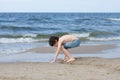 A little guy on the sandy beach.