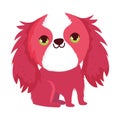 Little hair red dog domestic sitting cartoon pets Royalty Free Stock Photo