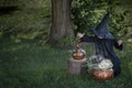 Little halloween witch outdoors with cauldron