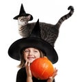Little hallowen witch Royalty Free Stock Photo