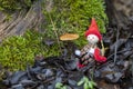 Little hand made santa clause figurine sitting outdoors between withered leaves of moss and mushrooms on a stump Royalty Free Stock Photo