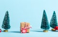 Gift box with miniature Christmas trees