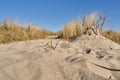 Little handmade hill of sand in the dunes of the North Sea coast