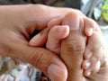 Family concept protection and happiness, the baby`s hand is held by the mother