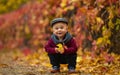 Little happy child boy sits in park and holds yellow leaf in his Royalty Free Stock Photo
