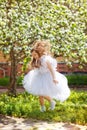 A little happy girl in a white dress is dancing under a blooming apple tree with flowers. Summer entertainment for families with Royalty Free Stock Photo