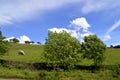 Little Hayfield in Derbyshire Royalty Free Stock Photo