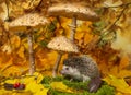 Little hedgehod with parasol mushrooms on forest autumnal background