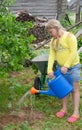 A little helper. In the village, a girl helps in the garden, watering a small apple tree from a watering can. Royalty Free Stock Photo