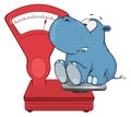 A little hippo and a weighing scale. Cartoon