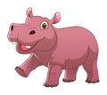 Little Hippopotamus Cartoon Animal Illustration