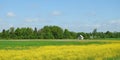 Little home and bee hive in field, Lithuania Royalty Free Stock Photo