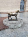 Little horse in Saragoza Royalty Free Stock Photo