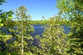 Little Horsehead Lake - Wisconsin Royalty Free Stock Photo