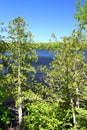 Little Horsehead Lake - Wisconsin Royalty Free Stock Photo