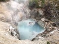 Little hot spring in Porcelain basin, Yellowstone Royalty Free Stock Photo