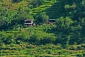 Little house on the green slope of hill of the Tatopani area during trekking around Annapurna Annapurna Circuit, Himalaya, Nepal Royalty Free Stock Photo