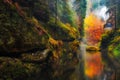 Little house at the Kamnitz Gorge in Saxon switzerland national Royalty Free Stock Photo