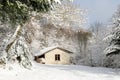 The little house in the snowy forest