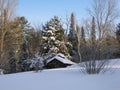 Little house in winter time