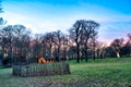 Little house in the wood