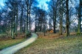 Little house in the wood