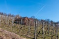 Little hovel in the middle of the wineyard Royalty Free Stock Photo